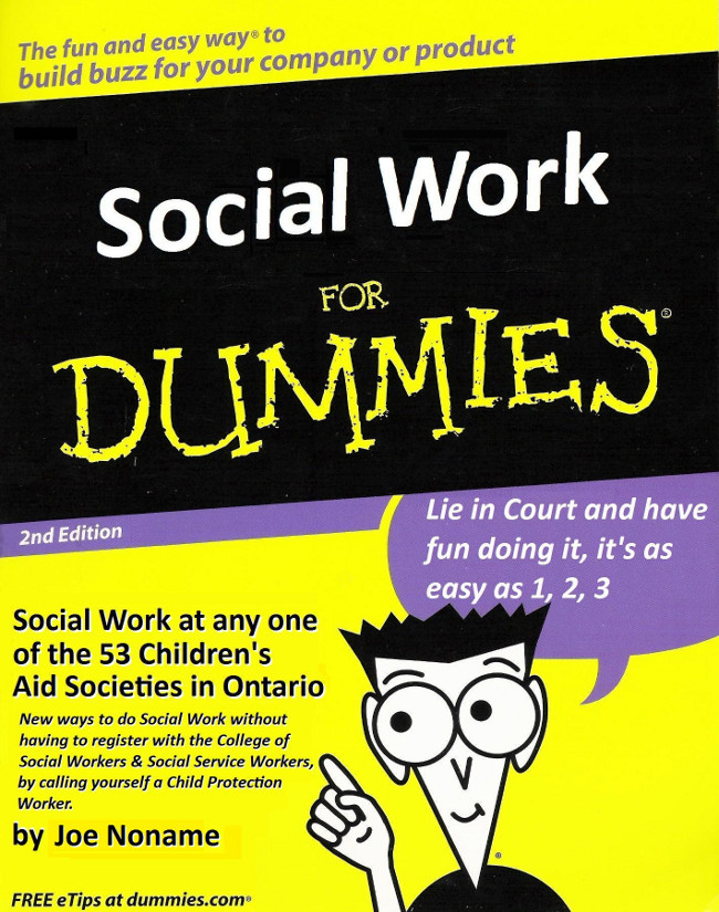 Social Work for Dummies, Pat Niagara