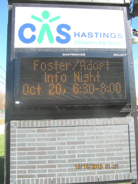 CAS Hastings foster/adopt info night