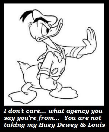 Donald Duck protects Huey, Dewey and Louie