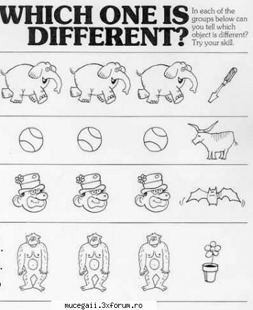 which is different?